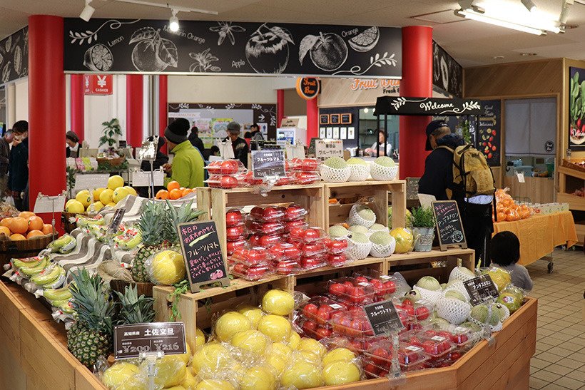 🌳 동곡산 과일 공원(토고쿠산 후르츠 파크) 이미지 5